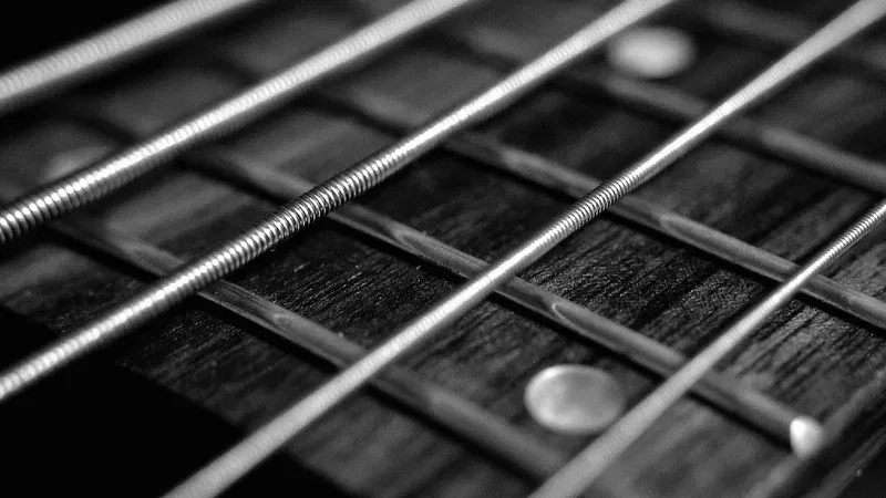 Groove to Blues Harvest: Live at Newcastle's Iconic Cluny 2!