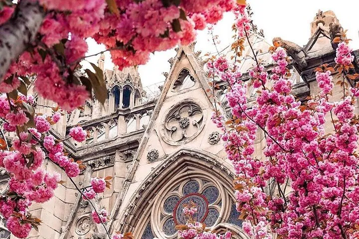 Paris Private Tour: Icons, Secrets & Local Stories