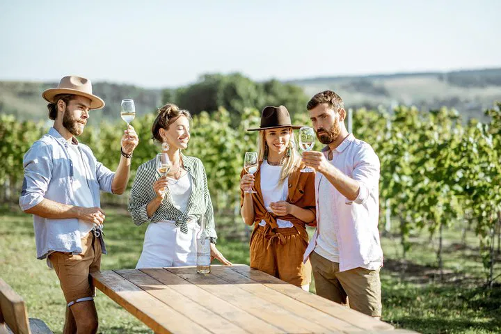 Alba Wine Tasting: Sip 6 Wines in a Local's Home