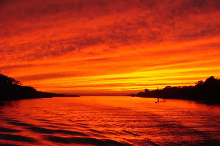 Cape May Dinner Cruise: Dolphins, Sunset & Delicious Food