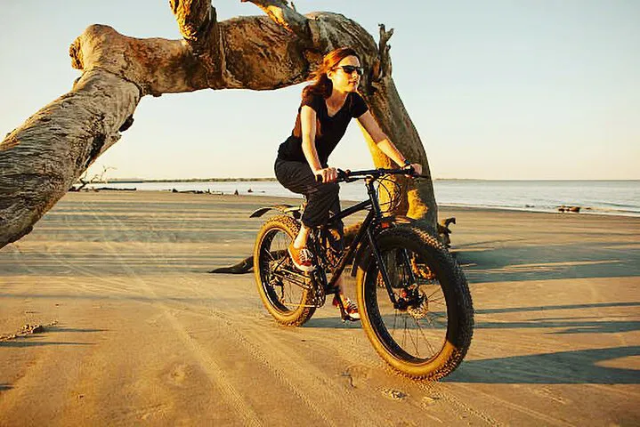 Camargue E-Bike Adventure: Explore Provence's Wild Side!