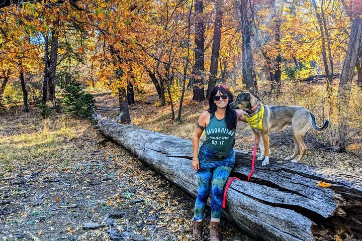 Big Bear's Breathtaking Fall Colors: An Expert-Led Hiking Adventure