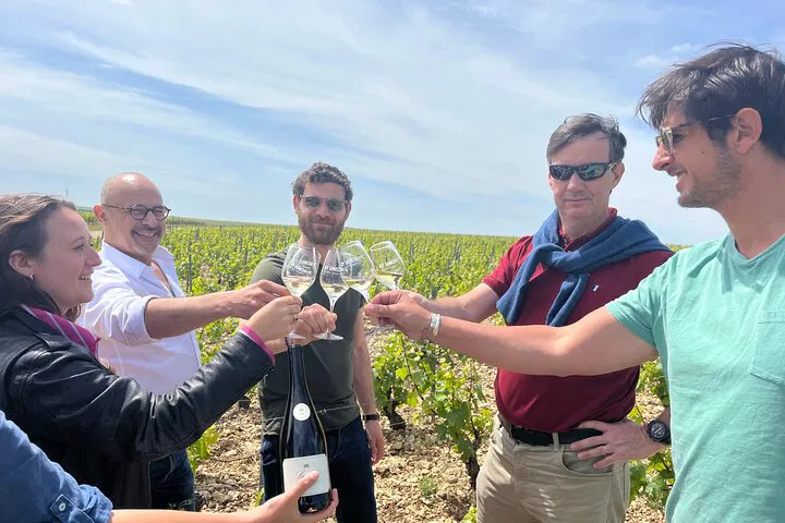 Burgundy Wine Day Trip: 8 Tastings & Lunch from Paris