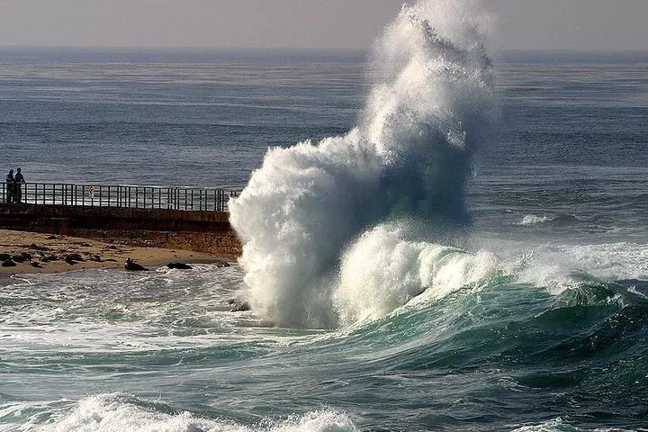 Uncover La Jolla's Charm: A Self-Guided Urban Adventure