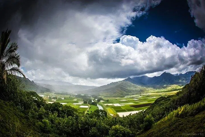 Aloha Island Eco-Adventure: Discover Paradise in Half a Day!