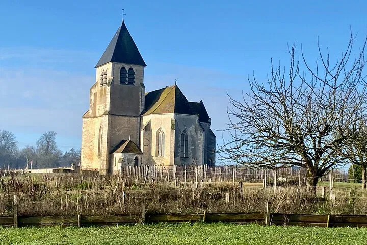 Exclusive Burgundy Wine Tour: Taste 15 Wines at Top Châteaux