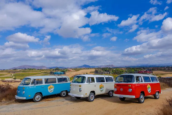 Temecula Wine Tour: Sip & Sing in a VW Bus!