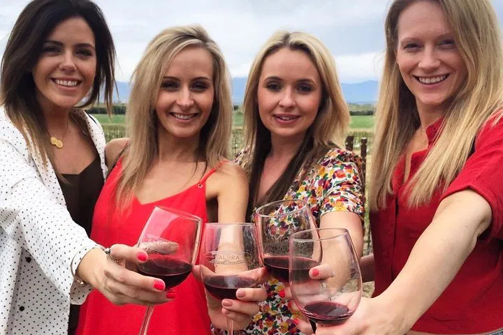 Santa Barbara Wine Tour: Boutique Vineyards & Olive Oil Delights