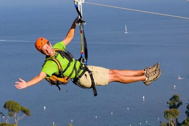Catalina Island Zipline Adventure: Eco-Tour Thrills & Hotel Ease!