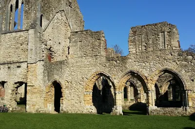 Image 2