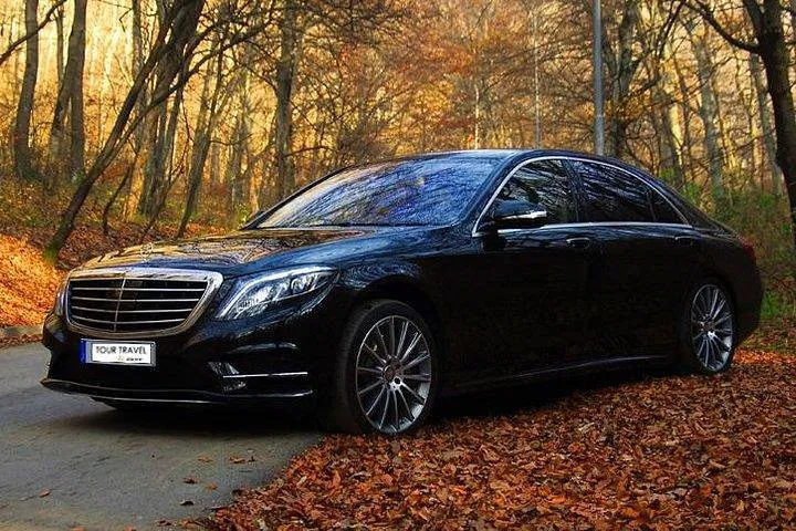 Paris Airport ✈️ Disneyland Private Transfer