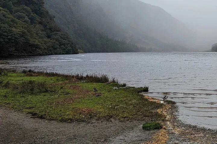 Discover Ireland's Charm: A Private Wicklow, Glendalough & Powerscourt Adventure