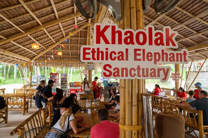 Ethical Elephant Encounters: A Day of Conservation in Khao Lak