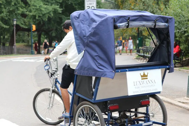 Central Park VIP Pedicab Tour: Uncover NYC's Oasis in Style!