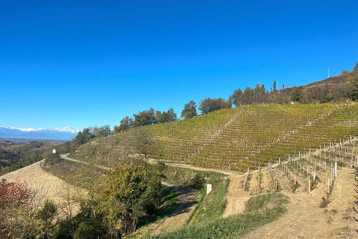 Uncorking Alta Langa: A Sparkling Wine Journey