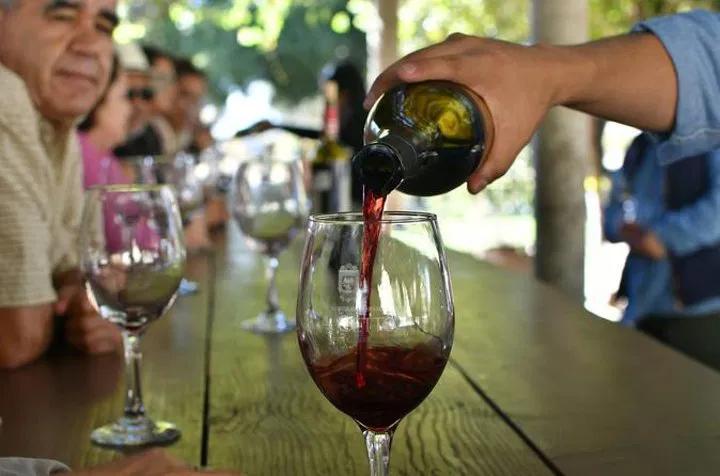Savor Baja: Wine Country Tour from San Diego