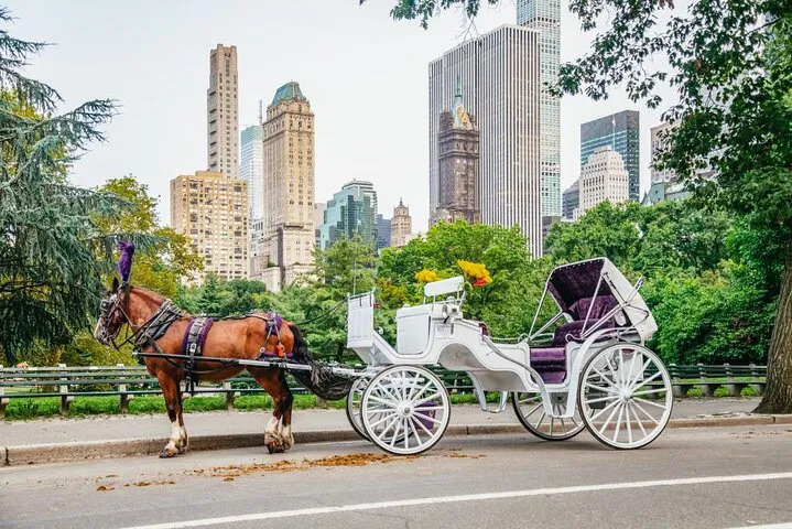 Classic Central Park Horse Carriage Ride: A Timeless NYC Experience