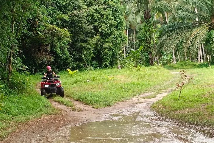 Khaolak Wild Ride & Gentle Giants: An Unforgettable Ethical Adventure
