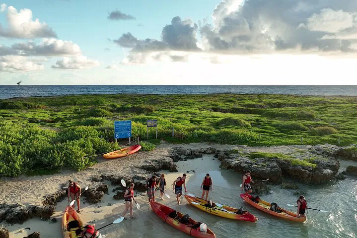 Kayak to Popoia Island: A Guided Adventure in Kailua Bay