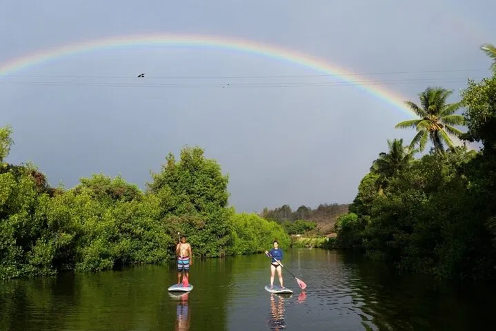 Paddle with Turtles: A Hawaiian River Adventure on Oahu's North Shore