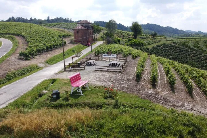 Uncork Monferrato: Wine Cellar Tour & Tasting Adventure