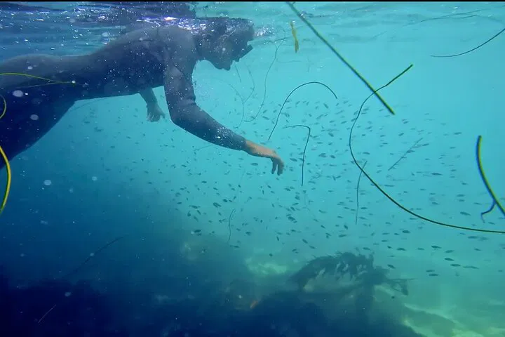 La Jolla: Kayak & Snorkel Sea Cave Adventure