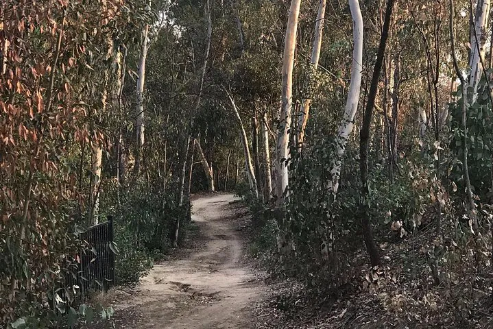 Fullerton Loop eMTB Adventure: Beginner-Friendly Fun!