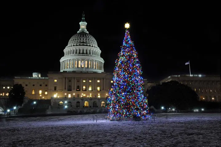 Dazzling DC Holiday Lights: A Festive Guided Tour