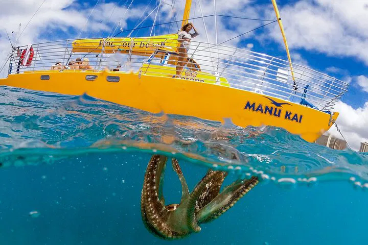 Oahu's Coastal Gems: A Private Swim & Sail Adventure