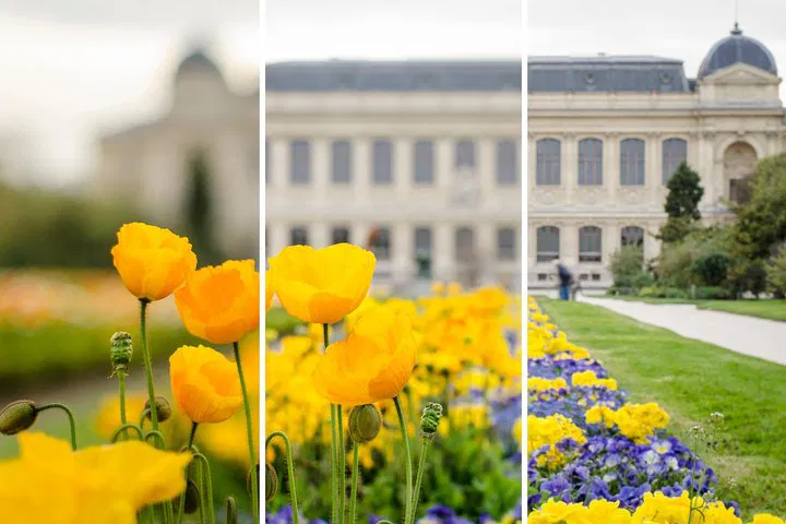 Paris Photography Workshop: Improve Your Skills!