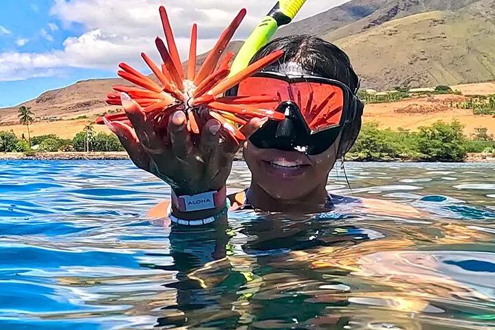 Discover Maui's Underwater Paradise: Unlimited Snorkeling Adventure