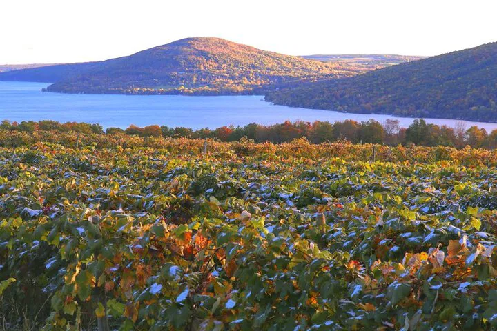 Canandaigua Wine Trail: Sip & Savor Finger Lakes