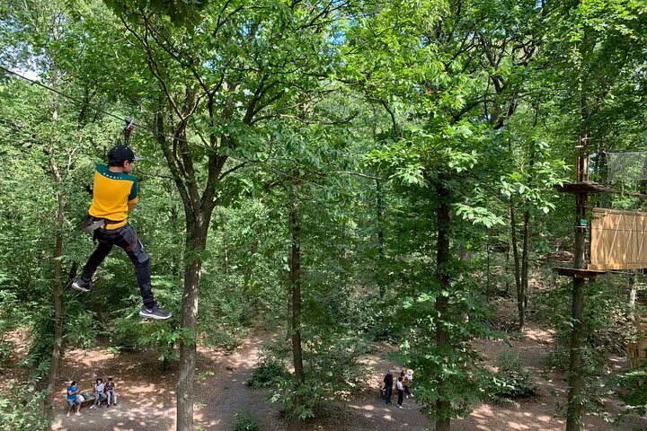 Elevated Adventure: Accrobranches & Forest Views in Saint-Germain-en-Laye