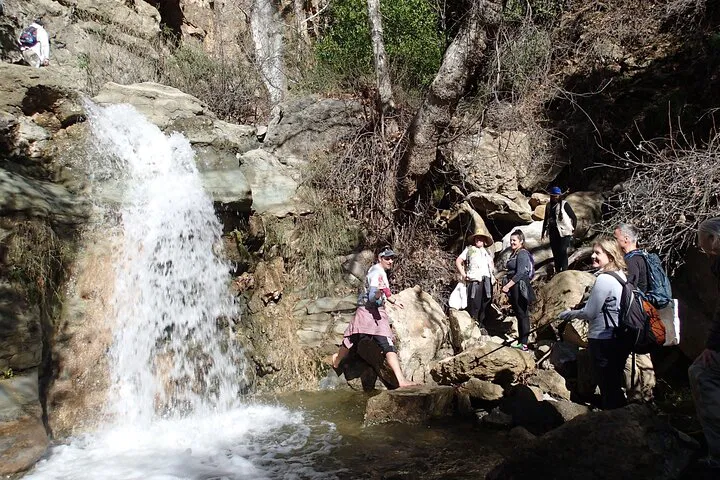Uncover Anaheim's Wild Side: Guided Nature Walks & Hikes