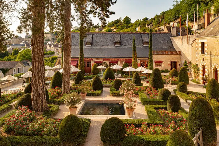 Loire Valley Exclusive: Da Vinci Châteaux Private Tour from Paris