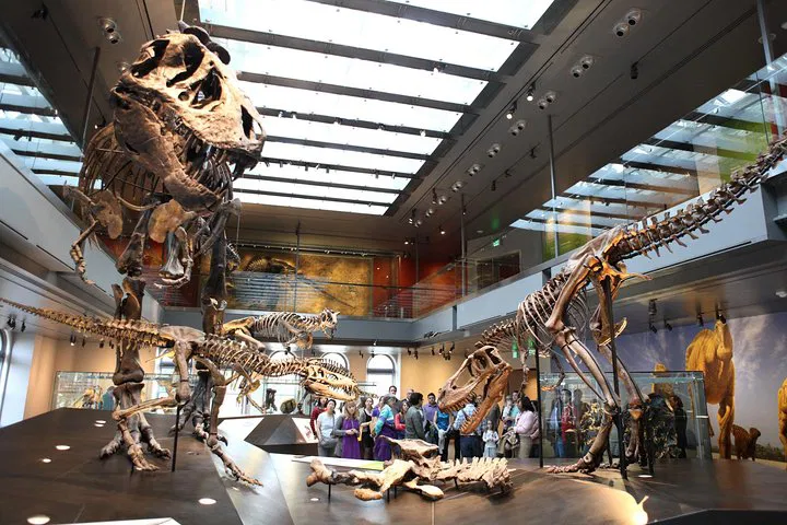 Unearth the Past: Natural History Museum of Los Angeles Adventure!