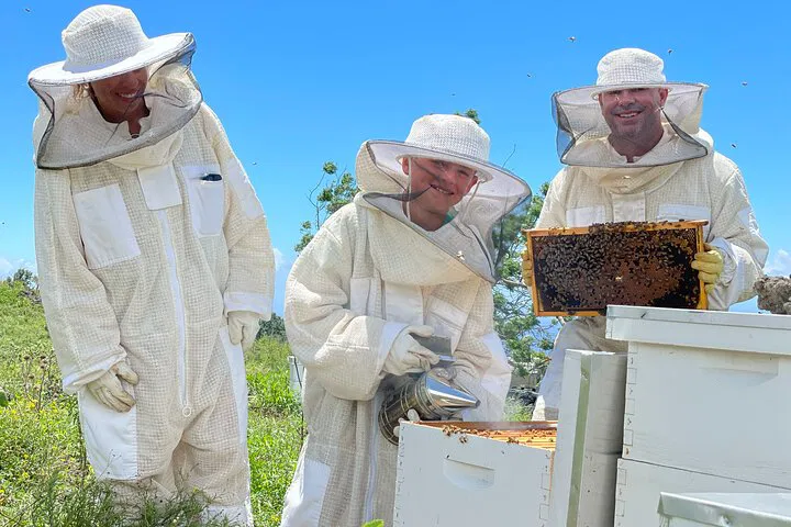 Unveiling the Wonders: A Honey Bee Adventure at Maui's Sanctuary