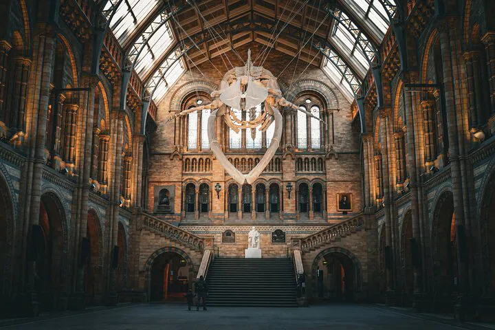 Unearth Natural Wonders: A Guided Journey Through London's Natural History Museum
