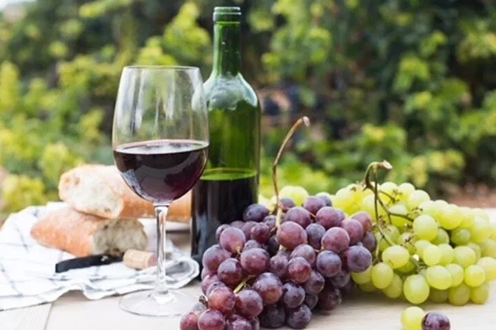 Uncover Niagara's Hidden Gems: A Wine Lover's Bench Journey