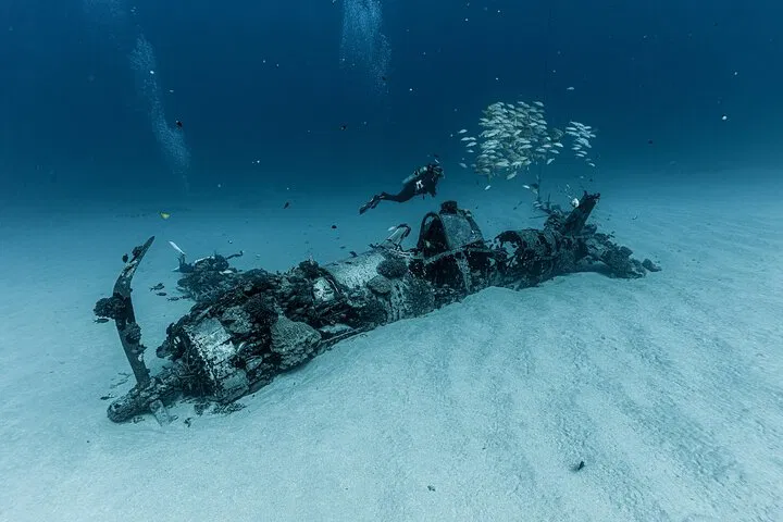Discover Oahu's Underwater Wonders: Certified Scuba Diving Adventure