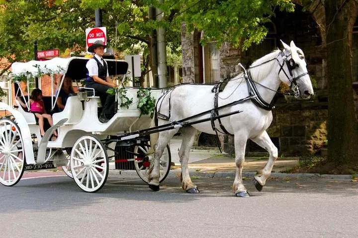 Central Park Carriage Ride: VIP Private Tour Since 1964™