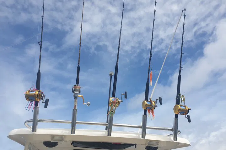 Seychelles Big Game Fishing Charter: Reel in the Adventure!