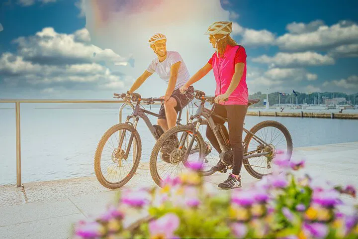 Explore Berlin's Top Spots: An Eco-Friendly Bike Adventure!