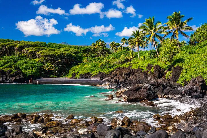 Maui Shore Excursion: Discover Island Gems in a Private Tour!