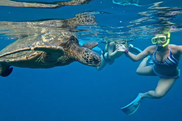 Glide & Snorkel: Turtle Town Paddleboard Adventure in Maui!