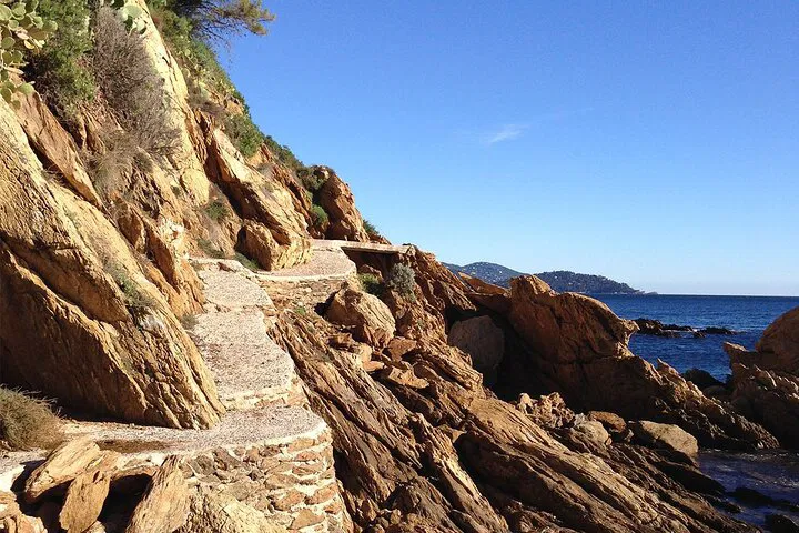 Unveiling Provence: A Private Wine & Coastal Escape from Toulon