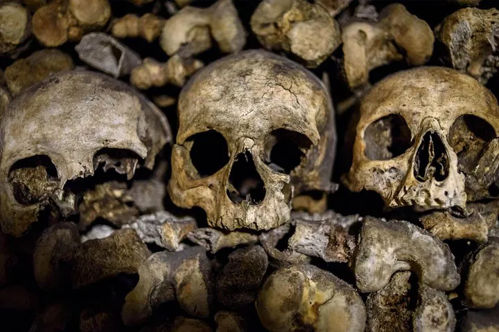 Unearth Paris Catacombs: VIP Skip-the-Line Adventure