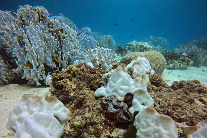 Phuket Scuba Adventure: 3-Day Open Water Diver Certification