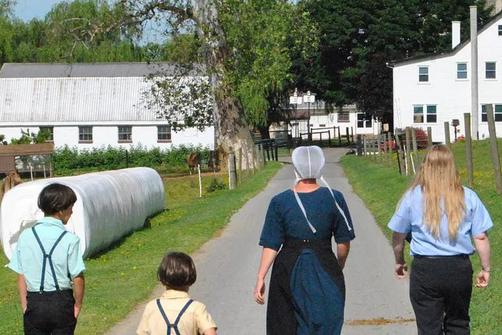 Lancaster Amish Experience: Visit Homes & Farms