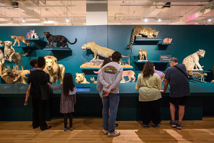Uncover History: Royal Ontario Museum Guided Adventure